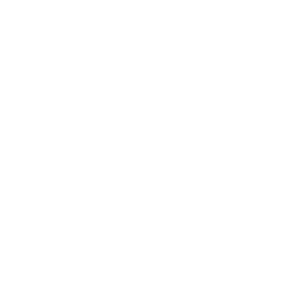 ارتقا امنیت سایت در گیلان